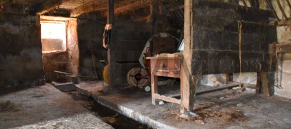 استوديو في Mouzieys-Teulet, France رقم 205438 7