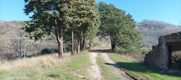 8-Zimmer Haus in Assisi, Italy, Nr. 64533 6
