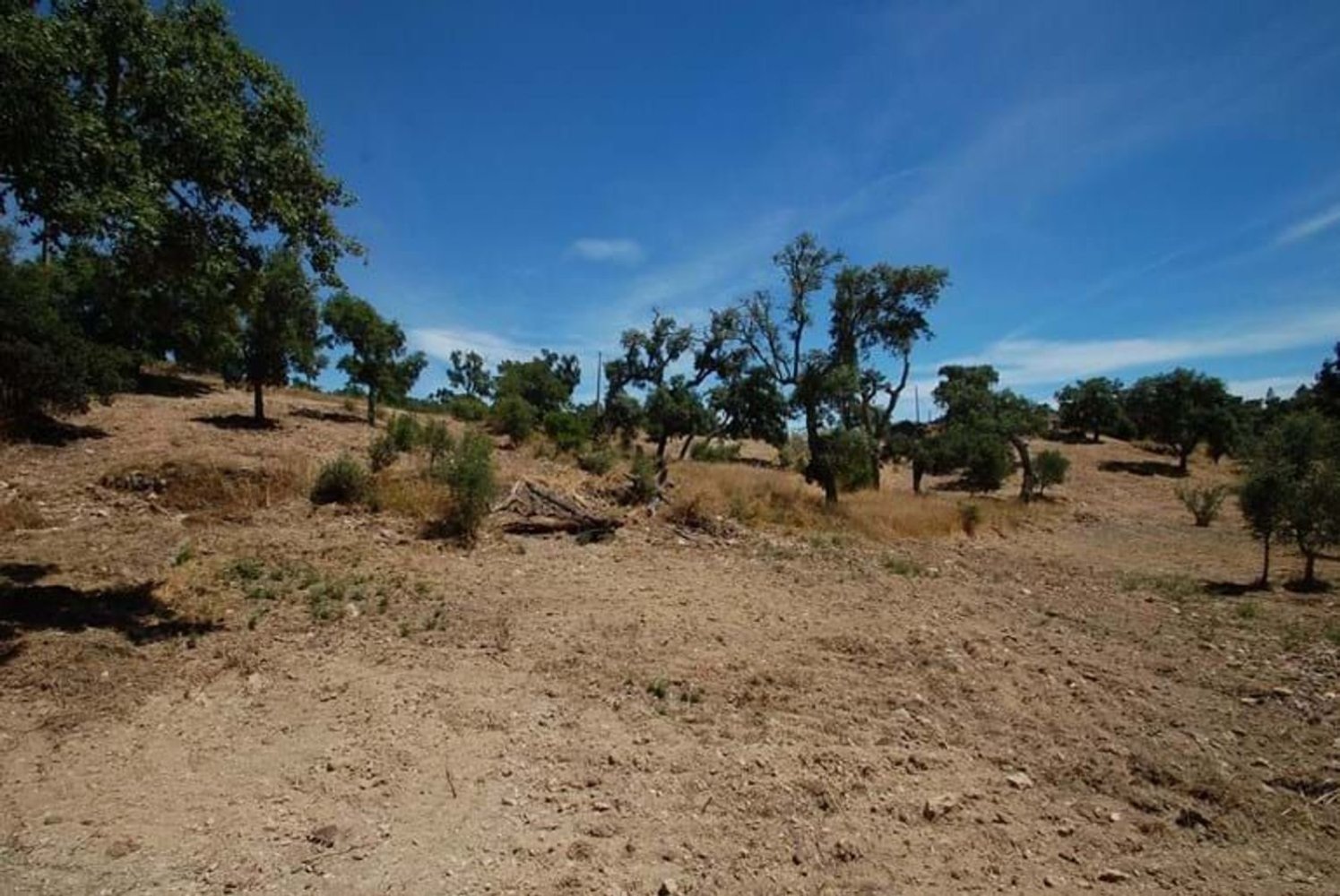 1565m² Land in Sao Bras de Alportel, Portugal No. 219580