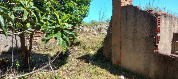 4 bedrooms House in Paialvo, Portugal No. 14492 42