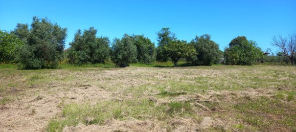 4 bedrooms House in Paialvo, Portugal No. 14492 36