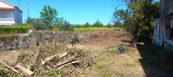 4 bedrooms House in Paialvo, Portugal No. 14492 31