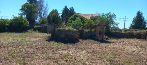 4 bedrooms House in Paialvo, Portugal No. 14492 5