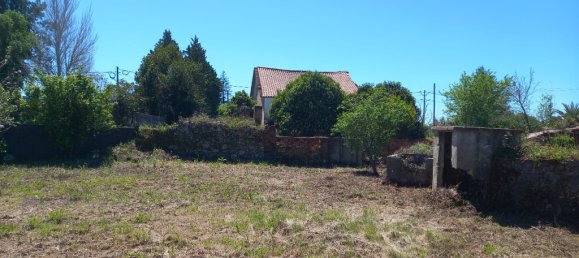 4 bedrooms House in Paialvo, Portugal No. 14492 32