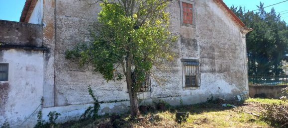 4 bedrooms House in Paialvo, Portugal No. 14492 4