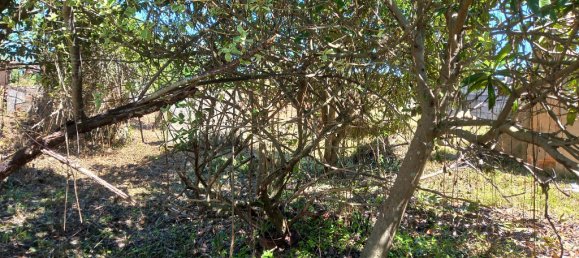 4 bedrooms House in Paialvo, Portugal No. 14492 40