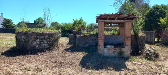 4 bedrooms House in Paialvo, Portugal No. 14492 3