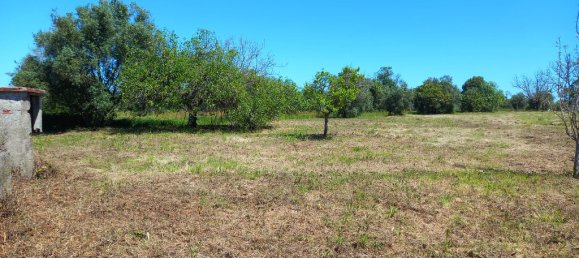 4 bedrooms House in Paialvo, Portugal No. 14492 43