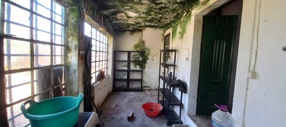 4 bedrooms House in Paialvo, Portugal No. 14492 26