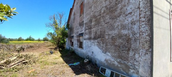 4 bedrooms House in Paialvo, Portugal No. 14492 29