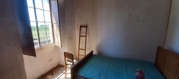 4 bedrooms House in Paialvo, Portugal No. 14492 19