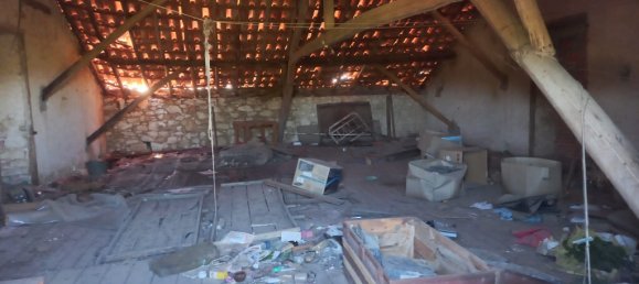 4 bedrooms House in Paialvo, Portugal No. 14492 28