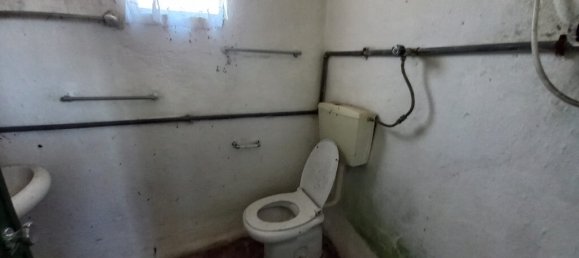 4 bedrooms House in Paialvo, Portugal No. 14492 12