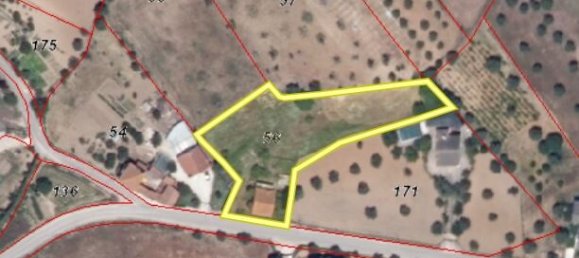 4 bedrooms House in Paialvo, Portugal No. 14492 7