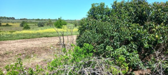 4 bedrooms House in Paialvo, Portugal No. 14492 37