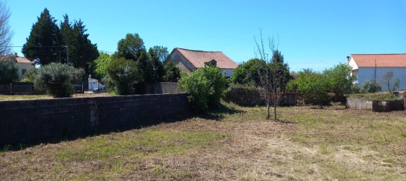 4 bedrooms House in Paialvo, Portugal No. 14492 33