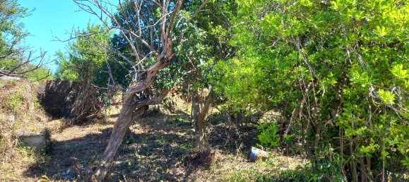 4 bedrooms House in Paialvo, Portugal No. 14492 41