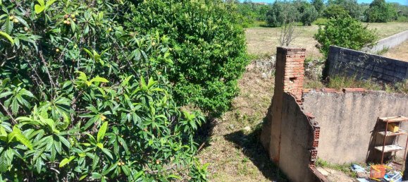 4 bedrooms House in Paialvo, Portugal No. 14492 38