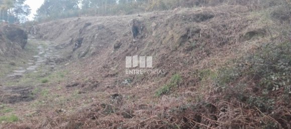 Grundstück in Marco de Canaveses, Portugal 7350m², Nr. 57724 6