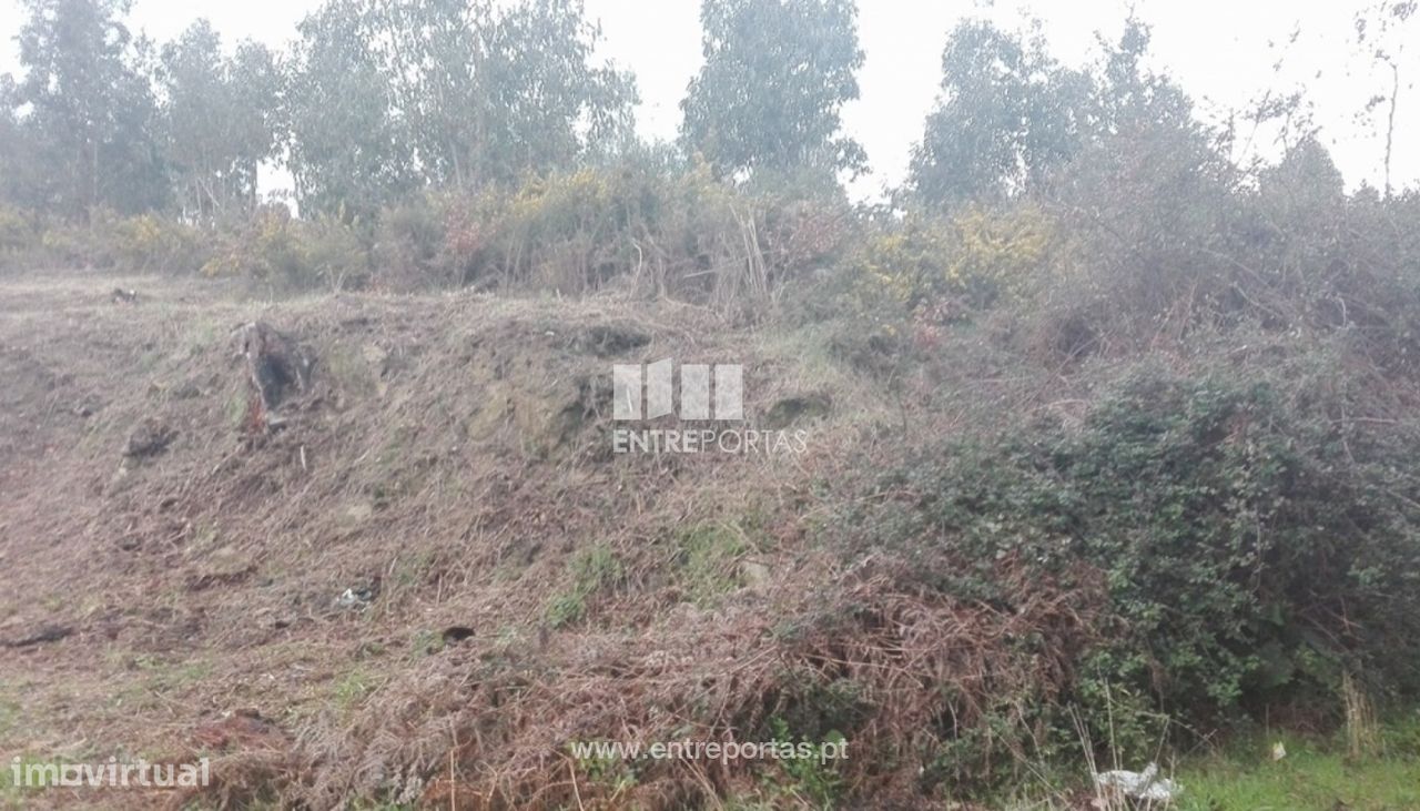 Grundstück in Marco de Canaveses, Portugal 7350m², Nr. 57724