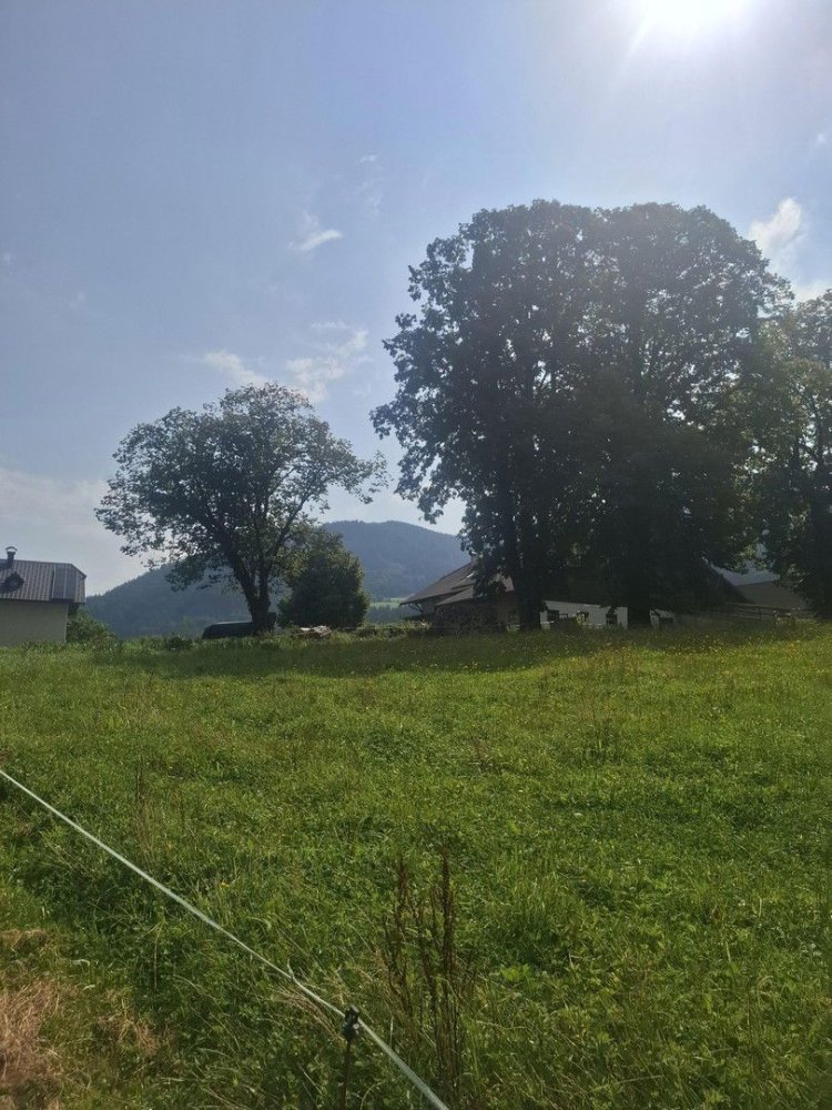 Terreno en Faistenau, Austria No. 220133