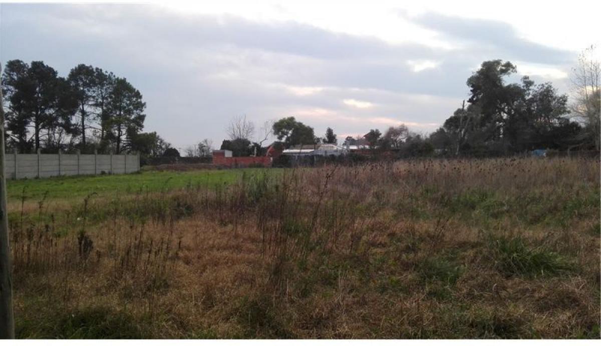 Grundstück in Canuelas, Argentina, Nr. 38662