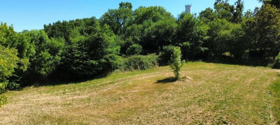 5119m² Land in Navarrenx, France No. 290151 2
