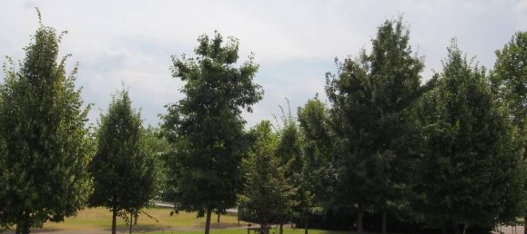 3-salle Villa à Milan, Italy No. 242209 2