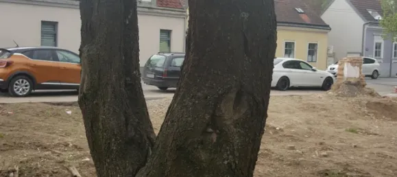 Terreno en Liesing, Austria 482 m² No. 194069 6