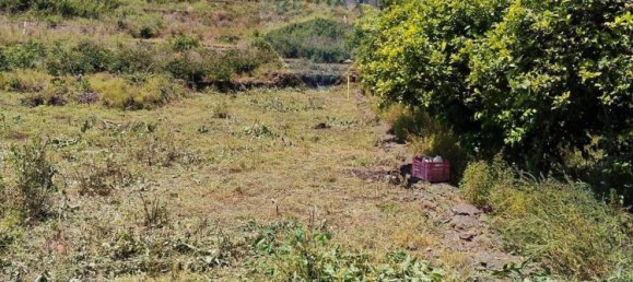  Land in Santa Venerina, Italy No. 378169 2