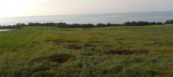  Land in Elis, Greece No. 875 11