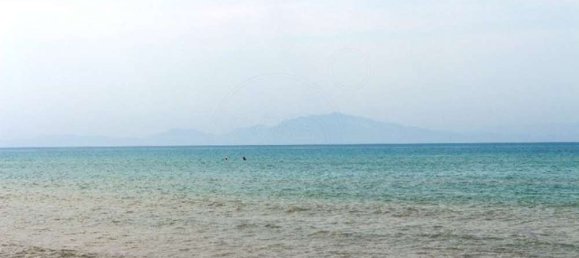  Land in Elis, Greece No. 875 14