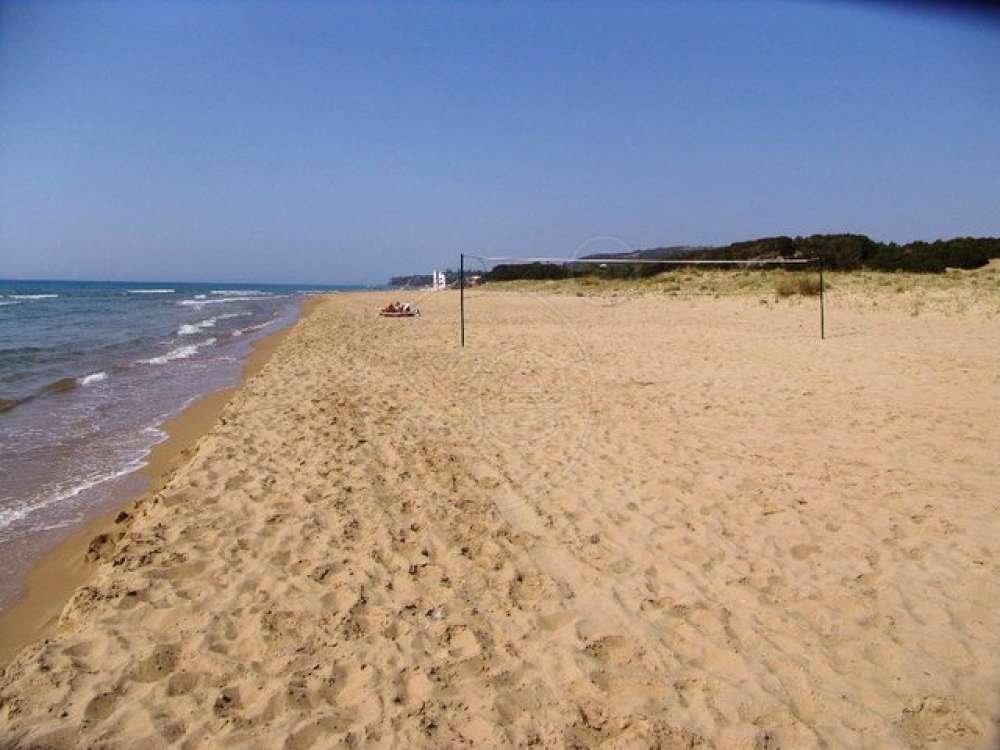  Land in Elis, Greece No. 875