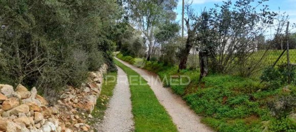 1620m² Land in Quelfes, Portugal No. 36006 4