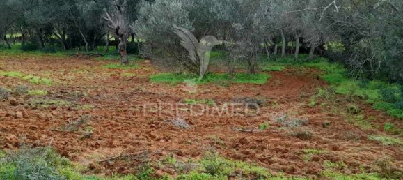 1620m² Land in Quelfes, Portugal No. 36006 3