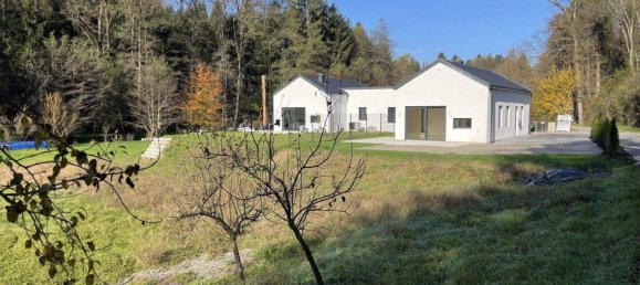 Дом с 3 комнатами в Зайерсберг-Пирка, Австрия № 170434 26