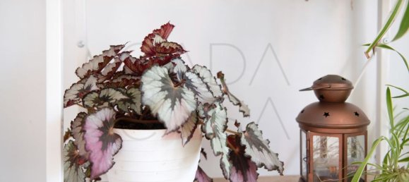 Duplex T2 em El Astillero, Spain N.º 154397 13