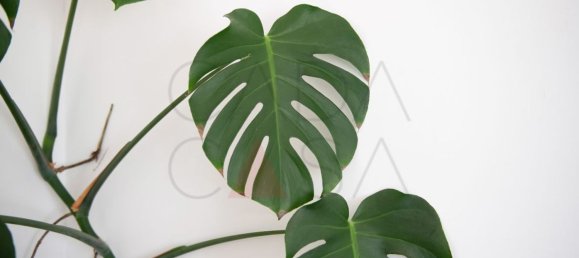 Duplex T2 em El Astillero, Spain N.º 154397 6