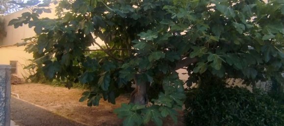 9 bedrooms House in Alcantarilla, Spain No. 191407 39