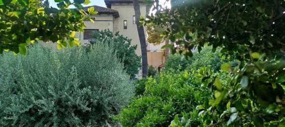 9 bedrooms House in Alcantarilla, Spain No. 191407 22