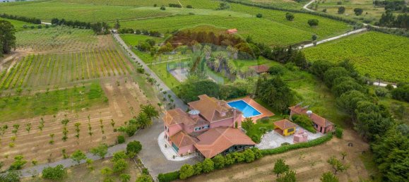 5 Schlafzimmer Haus in Aveiras de Cima, Portugal, Nr. 21467 6