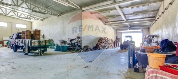 5 Schlafzimmer Haus in Aveiras de Cima, Portugal, Nr. 21467 35