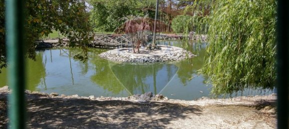 5 Schlafzimmer Haus in Aveiras de Cima, Portugal, Nr. 21467 34