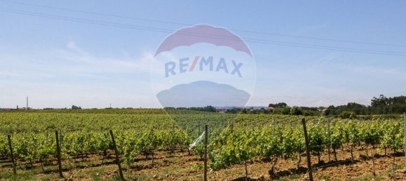 5 Schlafzimmer Haus in Aveiras de Cima, Portugal, Nr. 21467 38