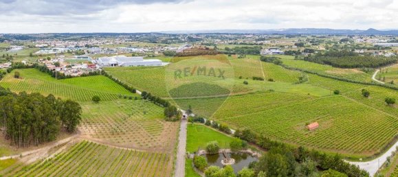 5 Schlafzimmer Haus in Aveiras de Cima, Portugal, Nr. 21467 47