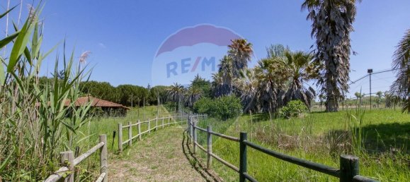 5 Schlafzimmer Haus in Aveiras de Cima, Portugal, Nr. 21467 43