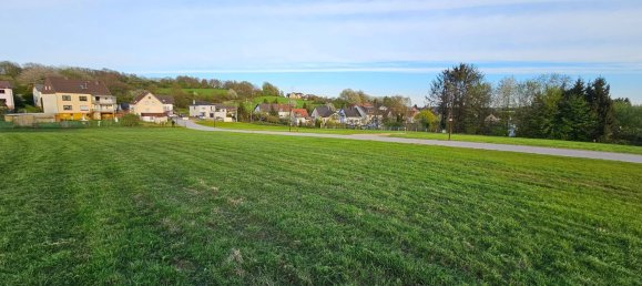 Земельный участок в Санкт-Вендель, Германия № 17739 2