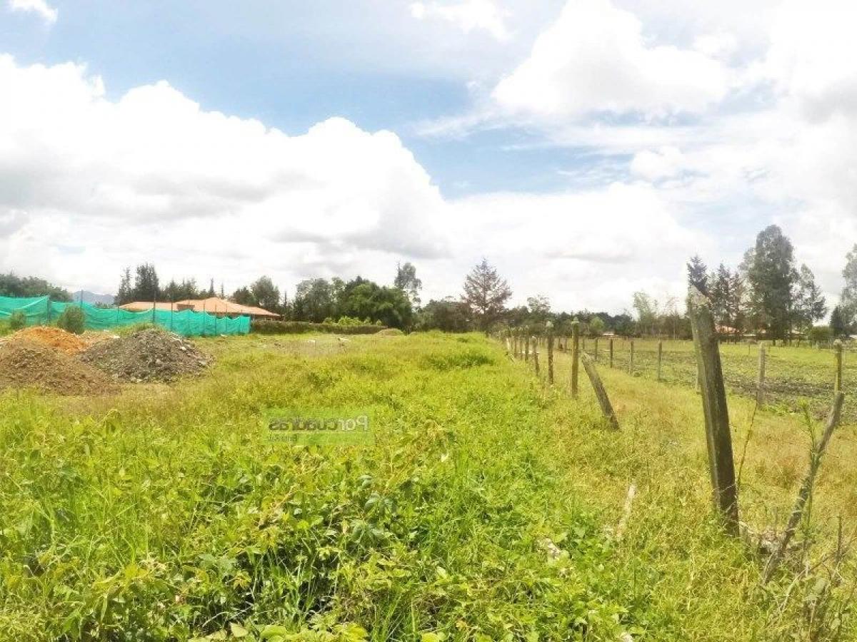  قطعة أرض في Antioquia, Colombia رقم 487