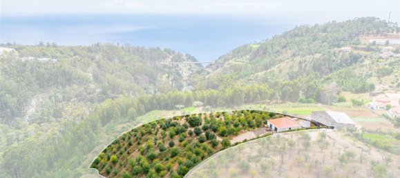  Land in Calheta, Portugal No. 109593 7