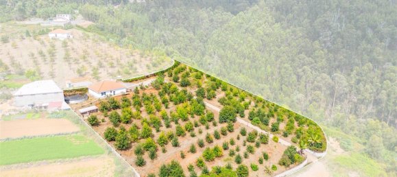  Land in Calheta, Portugal No. 109593 19